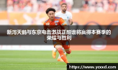 娱乐星空下载